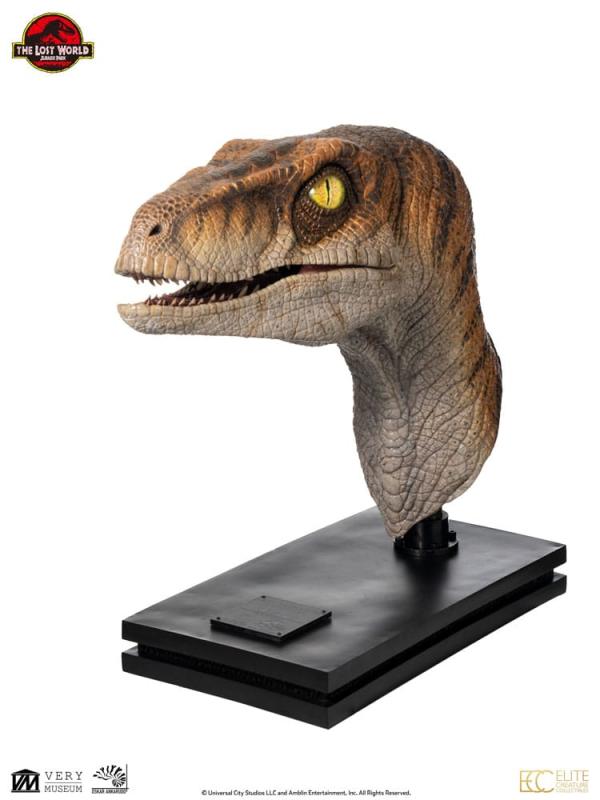 Jurassic Park Life-Size Bust Male Velociraptor 75 cm