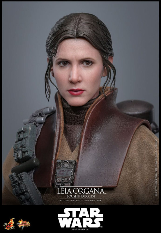 Star Wars Episode VI Movie Masterpiece Action Figure 1/6 Leia Organa (Boushh Disguise) 27 cm 11