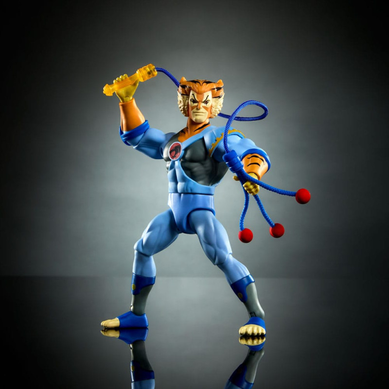 Masters of the Universe x ThunderCats Action Figure Tygra 14 cm 4