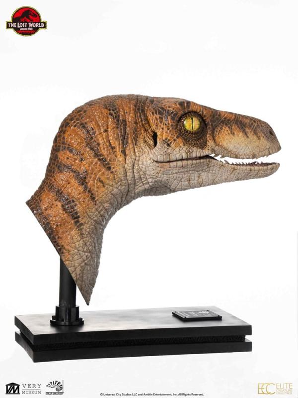 Jurassic Park Life-Size Bust Male Velociraptor 75 cm