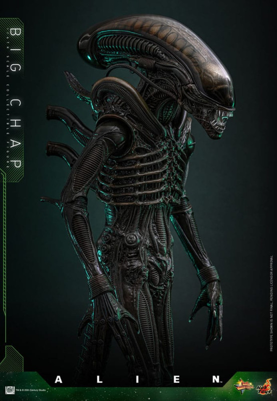 Alien Movie Masterpiece Action Figure 1/6 Big Chap 36 cm 8