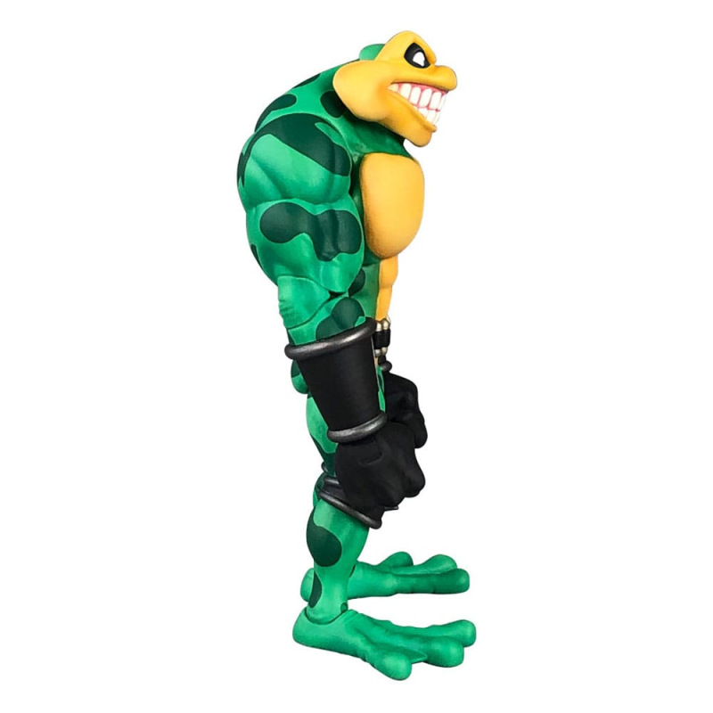 Battletoads Anthology Series Action Figure Wave 1: Zitz 15 cm 12