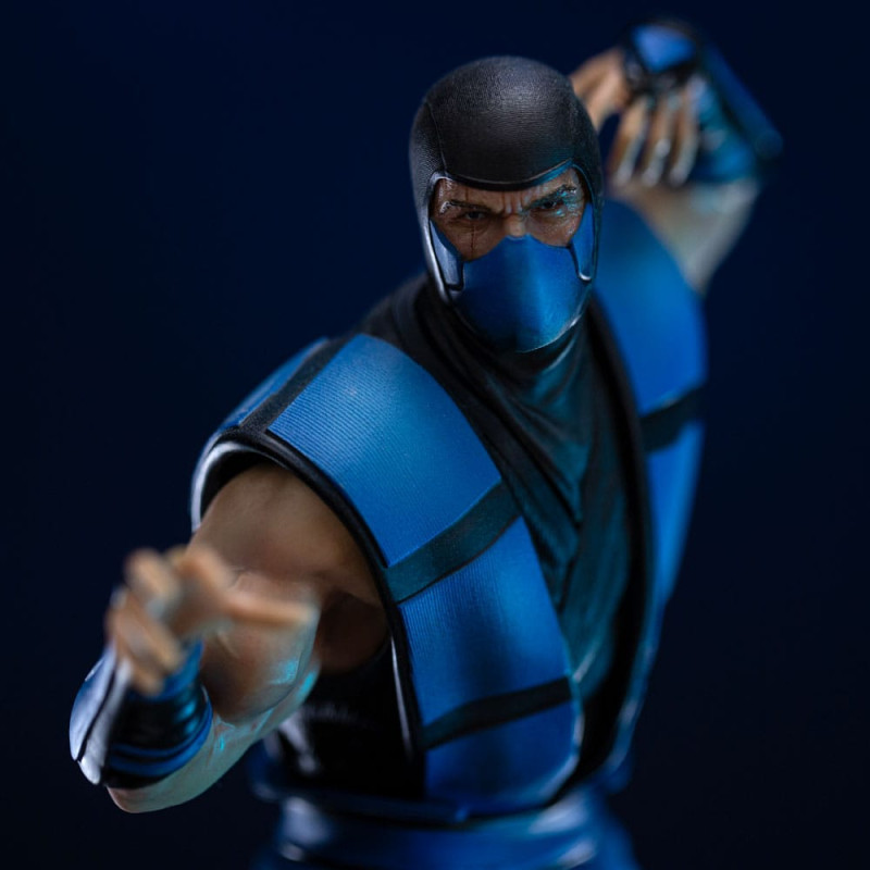 Mortal Kombat Art Scale Statue 1/10 Sub-Zero (Ninjas Collection) heo Exclusice 21 cm 3