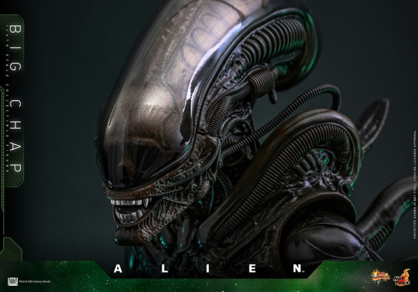 Alien Movie Masterpiece Action Figure 1/6 Big Chap 36 cm 10