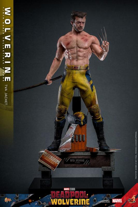 Deadpool & Wolverine Movie Masterpiece Action Figure 1/6 Wolverine (TVA Jacket Version) 31