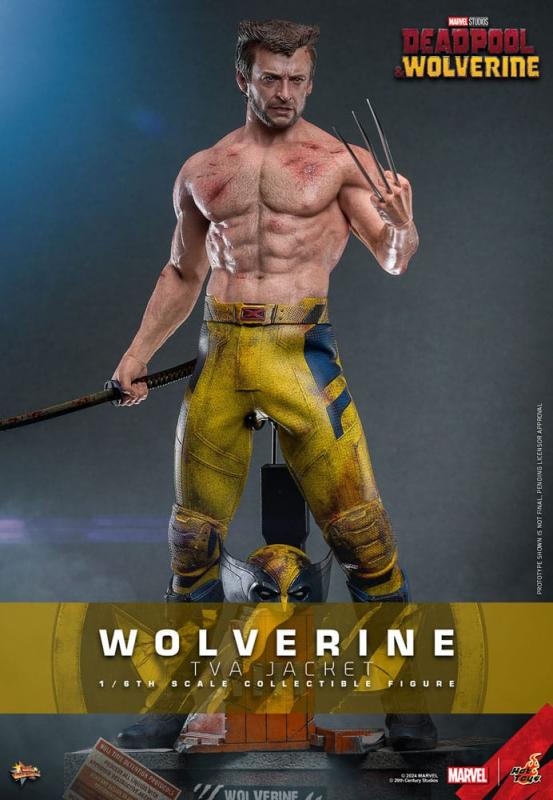 Deadpool & Wolverine Movie Masterpiece Action Figure 1/6 Wolverine (TVA Jacket Version) 31