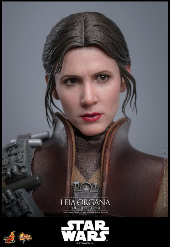 Star Wars Episode VI Movie Masterpiece Action Figure 1/6 Leia Organa (Boushh Disguise) 27 cm 10