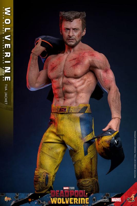 Deadpool & Wolverine Movie Masterpiece Action Figure 1/6 Wolverine (TVA Jacket Version) 31