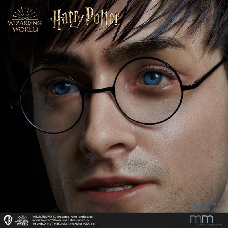 Harry Potter: Silicone head for the Harry Potter Life-Size Statue - Muckle Mannequins
