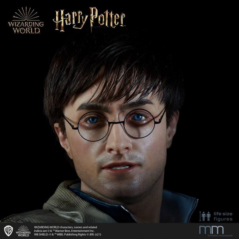 Harry Potter: Silicone head for the Harry Potter Life-Size Statue - Muckle Mannequins