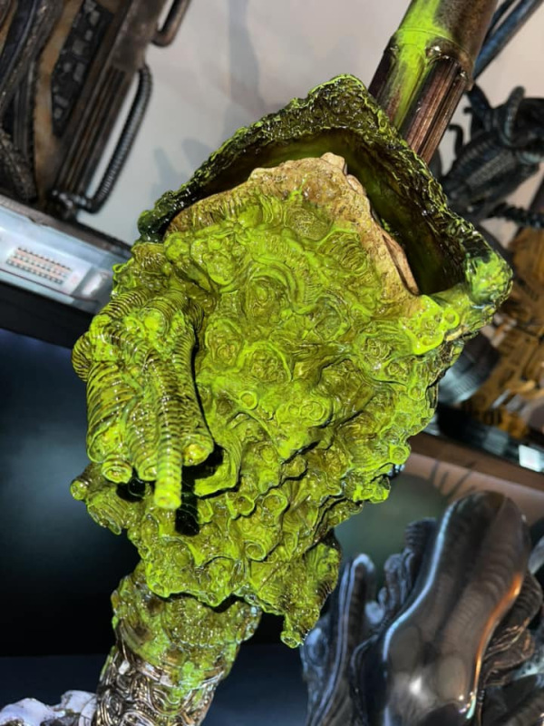 Predator trophy head with spear 1