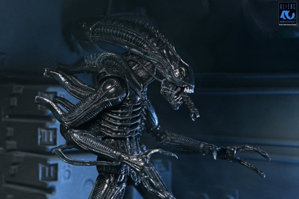 Aliens Ultimate Action Figure Warrior (1986) Xenomorph Black (40th Anniversary) 23 cm 11