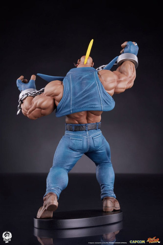 Street Fighter PVC Statues 1/10 Cammy & Birdie 24 cm 8