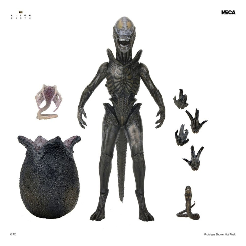 Alien: Earth Ultimate Action Figure Wendy's Xenomorph 18 cm 1
