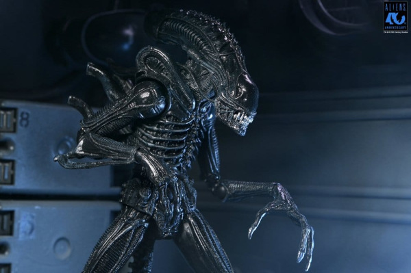 Aliens Ultimate Action Figure Warrior (1986) Xenomorph Black (40th Anniversary) 23 cm 12
