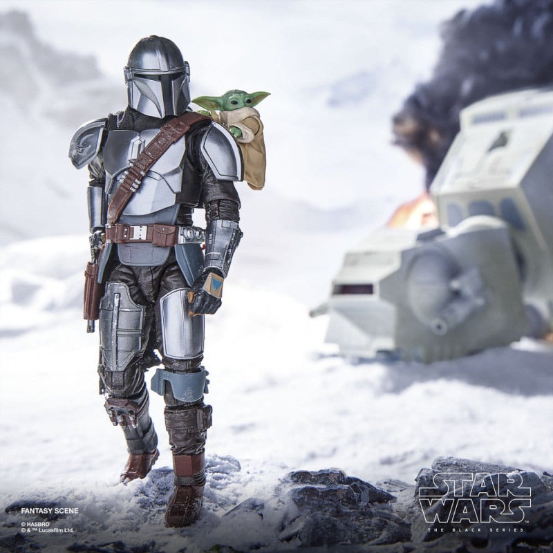 Star Wars: The Mandalorian & Grogu Black Series Action Figure The Mandalorian & Grogu 15 cm 14