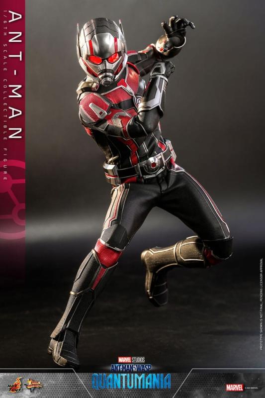 Ant-Man & The Wasp: Quantumania Movie Masterpiece Action Figure 1/6 Ant-Man 30 cm 8