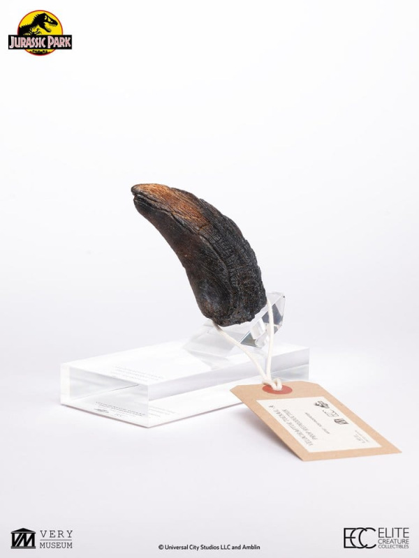 Jurassic Park 1/1 Replica Velociraptor Toenail Type A 11 cm 7