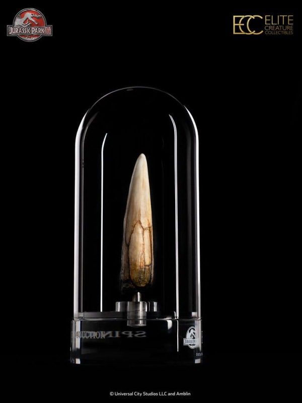 Jurassic Park III Prop Replica 1/1 Spinosaurus Tooth 14 cm 4