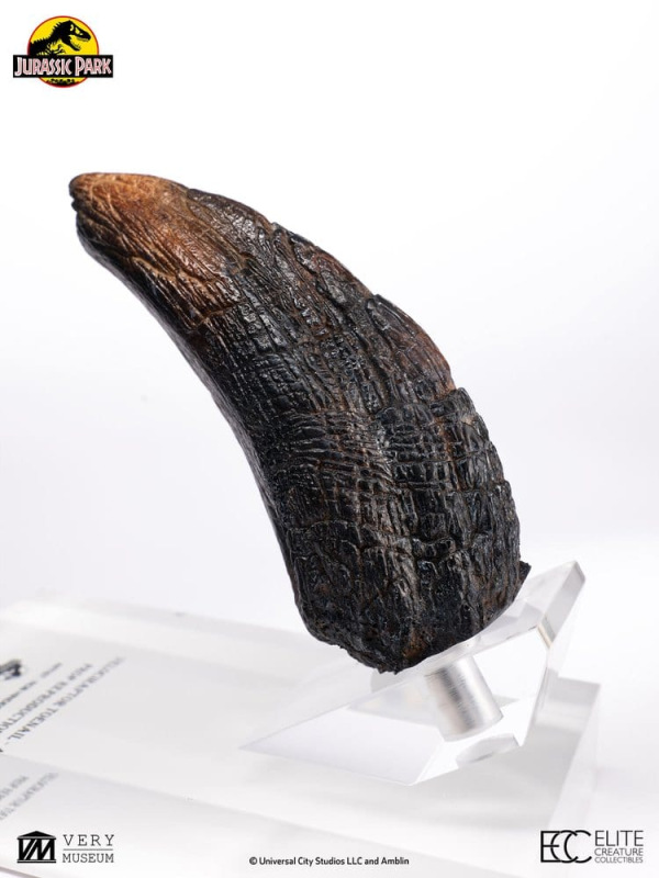 Jurassic Park 1/1 Replica Velociraptor Toenail Type A 11 cm 4
