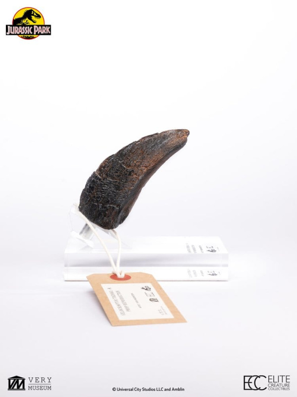 Jurassic Park 1/1 Replica Velociraptor Toenail Type A 11 cm 9
