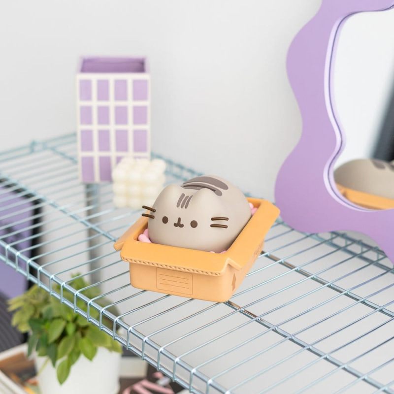 Pusheen Piggy Bank 6