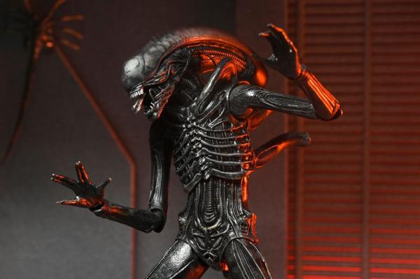 Alien: Romulus Action Figure Ultimate Xenomorph XX121 18 cm 5