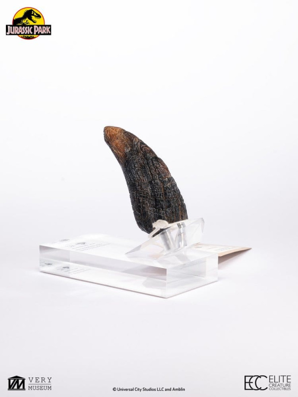 Jurassic Park 1/1 Replica Velociraptor Toenail Type A 11 cm 8