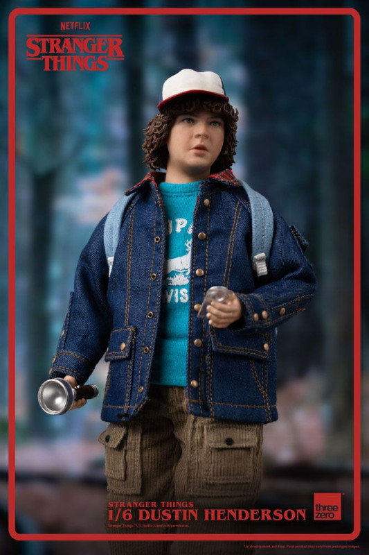 Stranger Things Action Figure 1/6 Dustin Henderson 23 cm 3