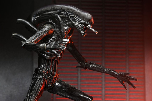 Alien: Romulus Action Figure Ultimate Xenomorph XX121 18 cm 4