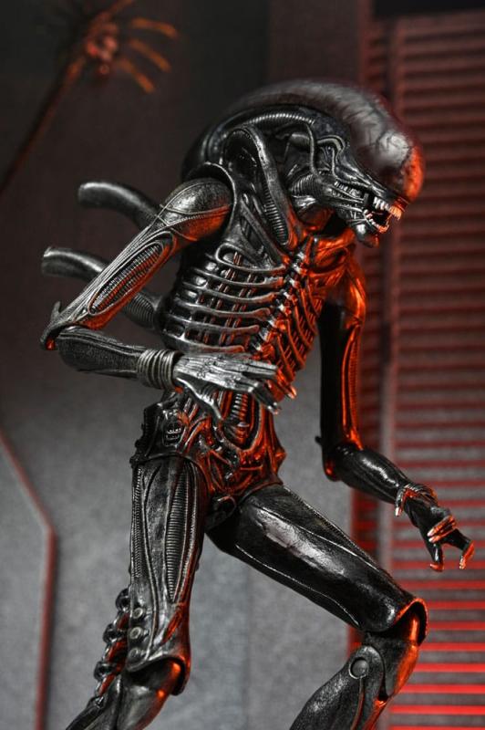 Alien: Romulus Action Figure Ultimate Xenomorph XX121 18 cm 3