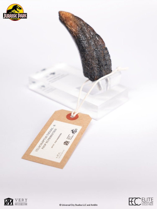 Jurassic Park 1/1 Replica Velociraptor Toenail Type A 11 cm 1