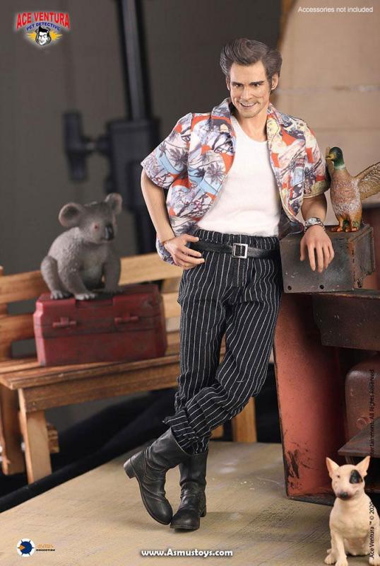 Ace Ventura Pet Detective: Ace Ventura - Figure 1/6 - Asmus Toys