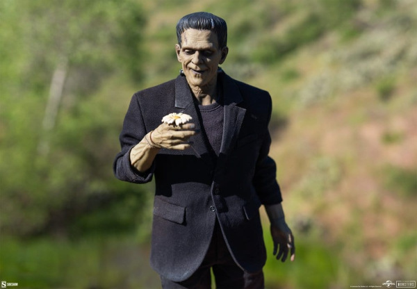 Universal Monsters Action Figure 1/6 Frankenstein (Deluxe Edition) 33 cm 9