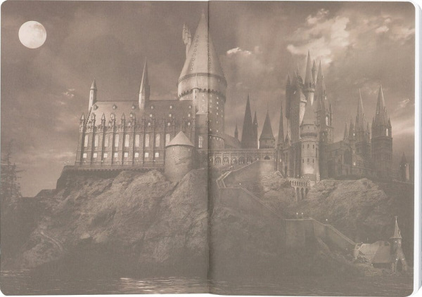 Harry Potter Softcover Notebook Gryffindor 21 cm 4