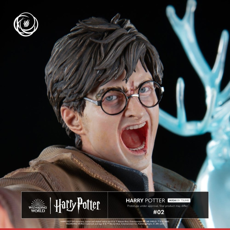 Harry Potter IKIGAI Figure 1/6 30 cm 2
