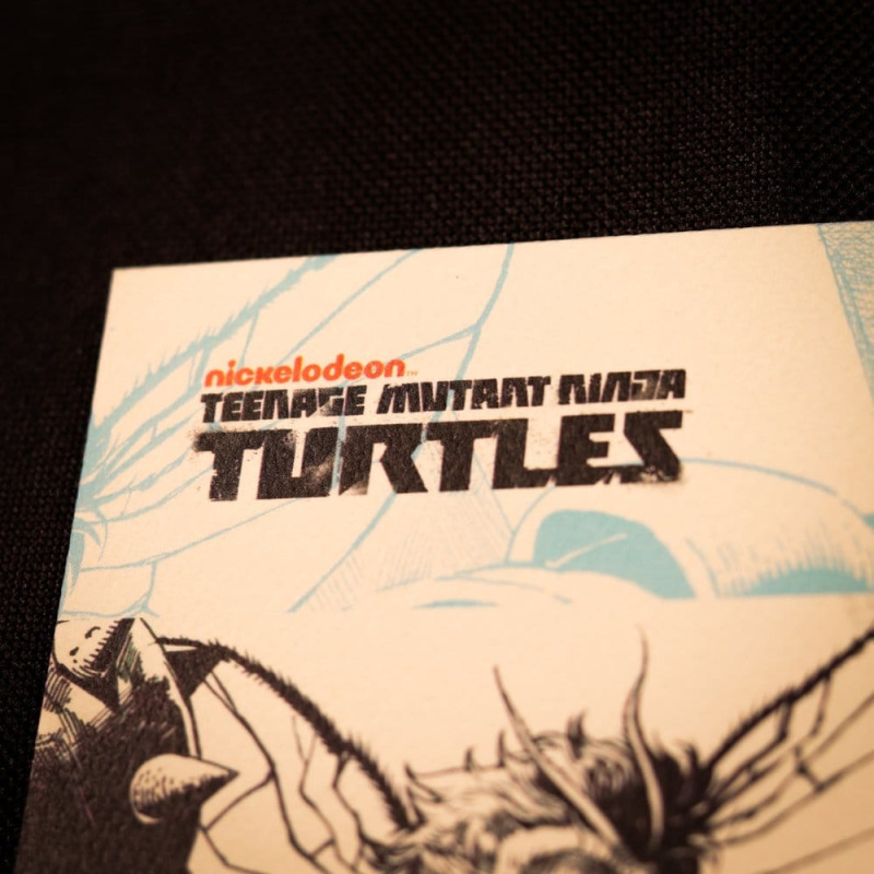 Teenage Mutant Ninja Turtles Art Print Comic Limited Edition 42 x 30 cm 1