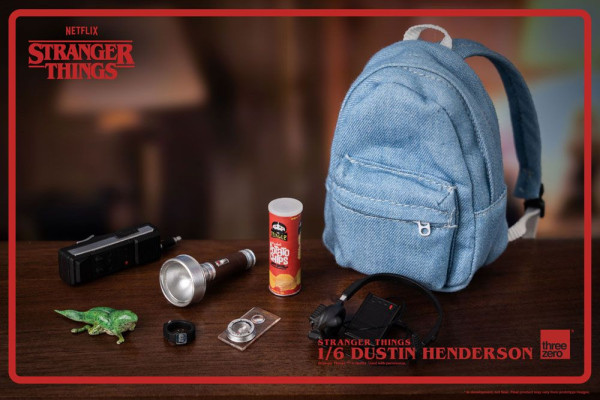 Stranger Things Action Figure 1/6 Dustin Henderson 23 cm 12