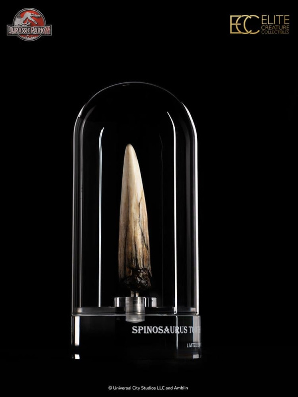 Jurassic Park III Prop Replica 1/1 Spinosaurus Tooth 14 cm 2