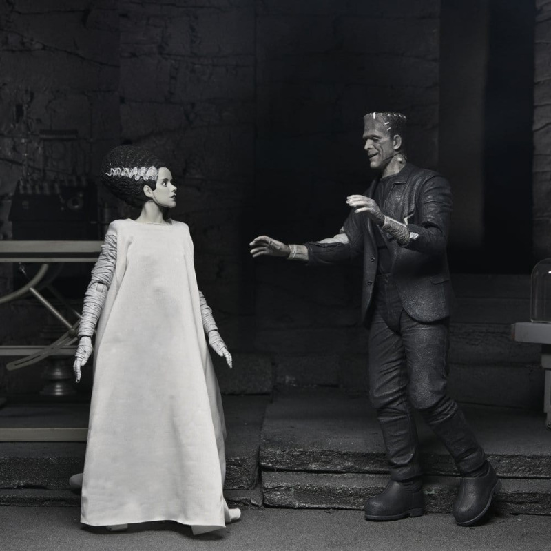 Universal Monsters 2-Pack Action Figure Bride of Frankenstein 90th Anniversary The Monster & His Mat 14