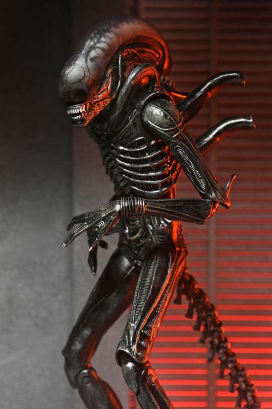 Alien: Romulus Action Figure Ultimate Xenomorph XX121 18 cm 1