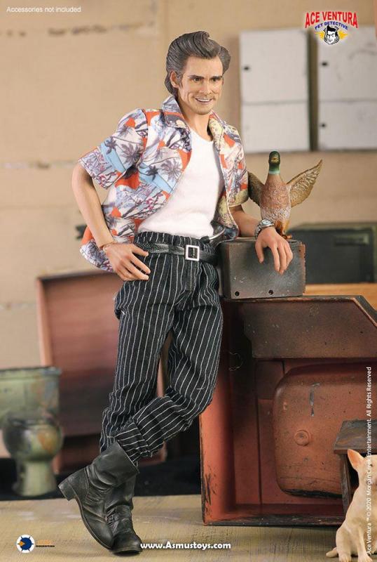Ace Ventura Pet Detective: Ace Ventura - Figure 1/6 - Asmus Toys