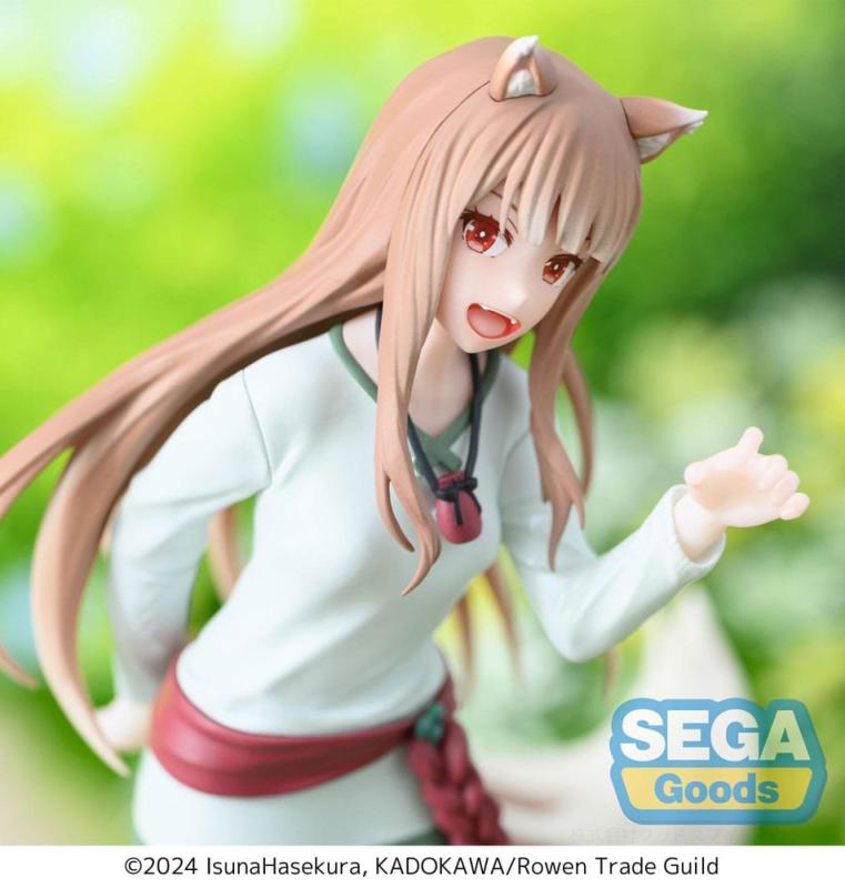 Spice and Wolf: Merchant meets the Wise Wolf PVC Statue Desktop x Decorate Collections Holo 16 cm