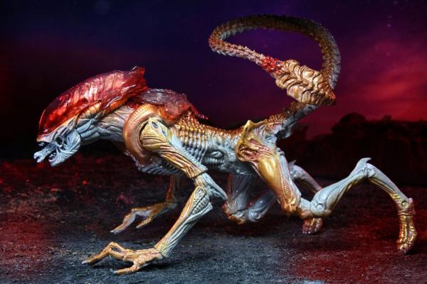 Aliens: Panther Alien (Kenner Tribute) 23 cm Action Figure - Neca