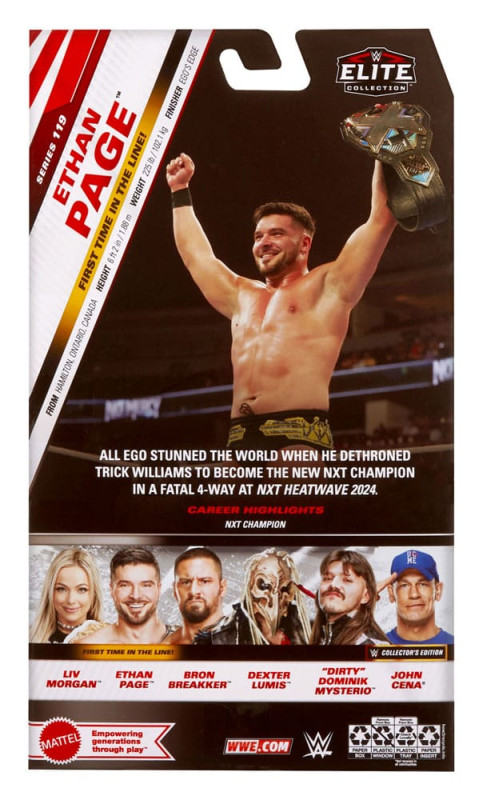 WWE Elite Collection Action Figure Ethan Page 15 cm 2