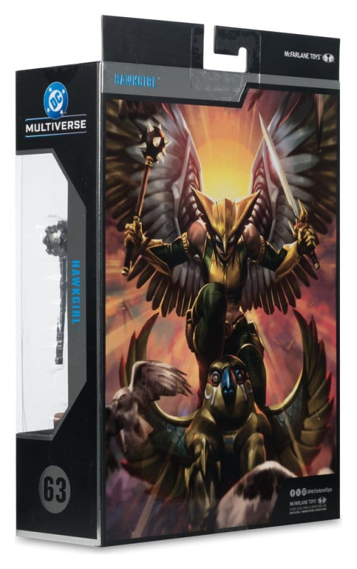 DC Multiverse McFarlane Collector Edition Action Figure Hawkgirl (Kendra Saunders) 28 cm 8