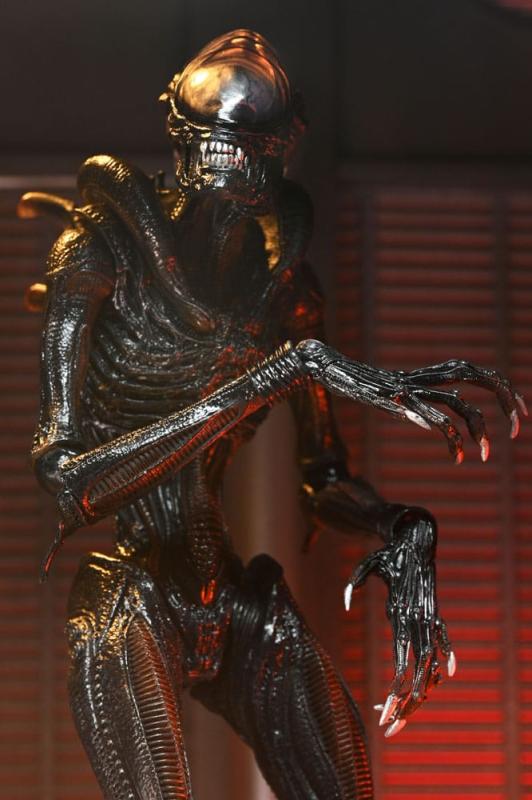 Alien: Romulus Ultimate Action Figure Scorched Xenomorph 18 cm 11