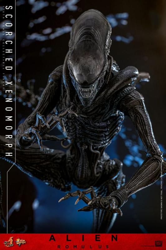 Alien: Romulus Movie Masterpiece Action Figure 1/6 Scorched Xenomorph 44 cm