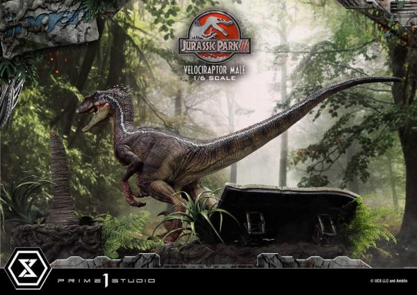 Jurassic Park III Legacy Museum Collection Statue 1/6 Velociraptor Male Bonus Version 40 cm