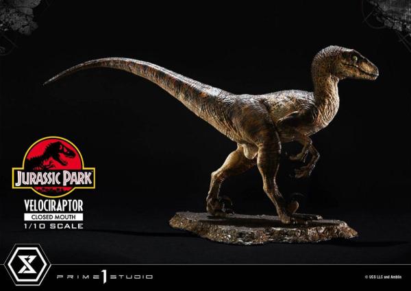 Jurassic Park Prime Collectibles Statue 1/10 Velociraptor Closed Mouth 19 cm